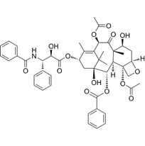 紫杉醇（半合成）/Paclitaxel Semi-Synthetic